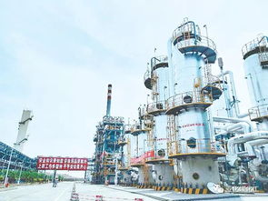 山西潞宝集团20万吨 年焦炉气制甲醇项目投产